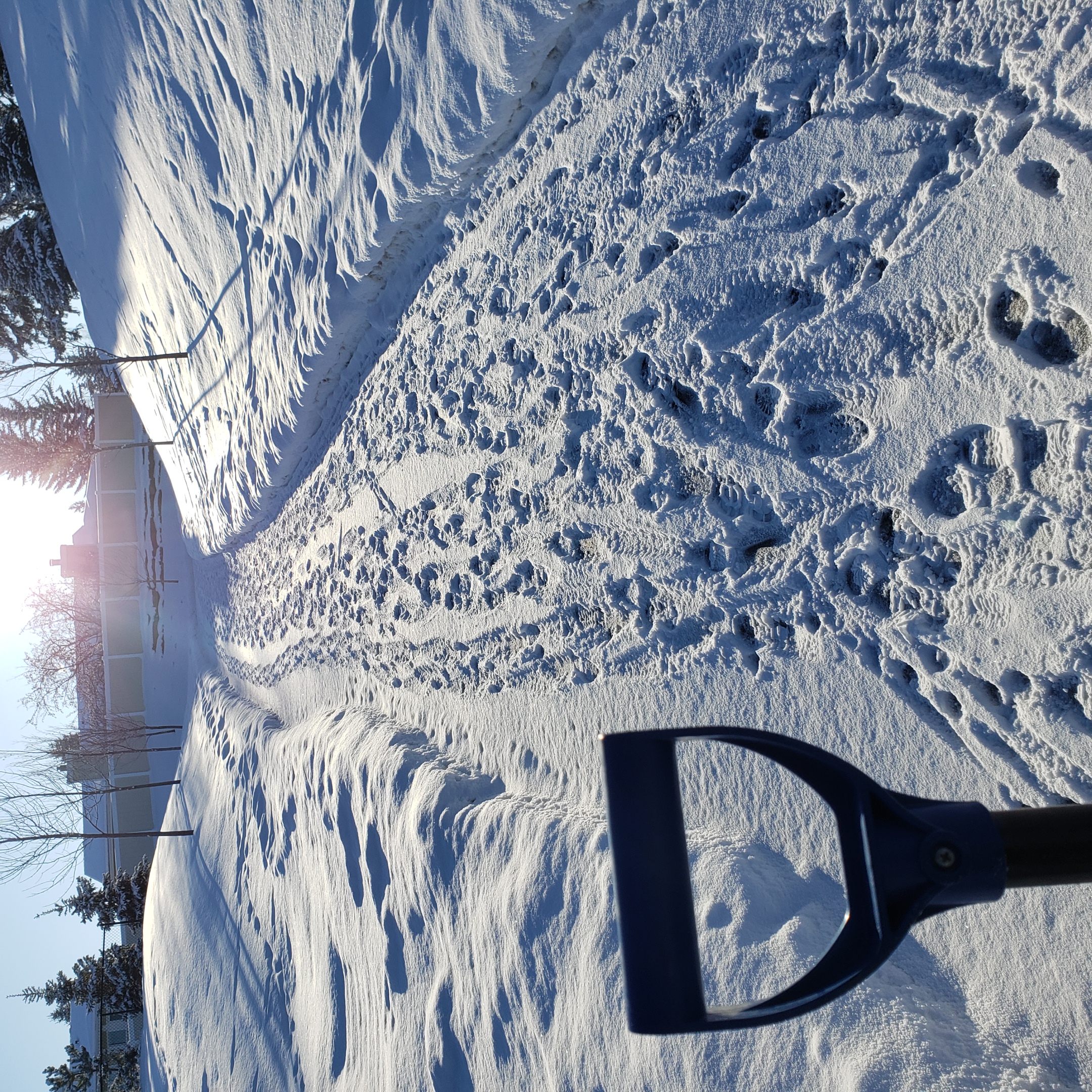 Snow Removal